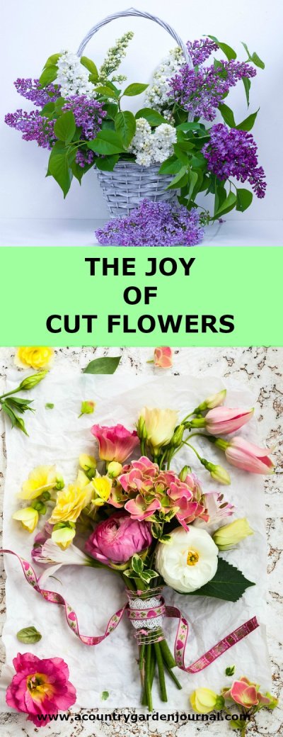 Purple and White Lilacs in White Basket. Pink, Yellow, and White Flower Bouquet with Pink Ribbon on White Doilie. Green Background. Text Reads: The Joy of Cut Flowers