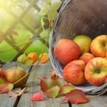 Apples in a Basket