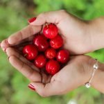 Red Cherries Held In Two Hands wearing Pearl Bracelet